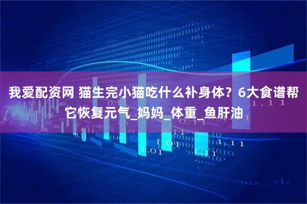 我爱配资网 猫生完小猫吃什么补身体？6大食谱帮它恢复元气_妈妈_体重_鱼肝油