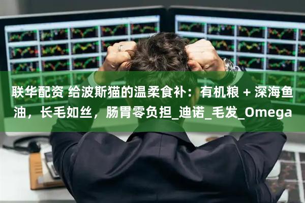 联华配资 给波斯猫的温柔食补：有机粮 + 深海鱼油，长毛如丝，肠胃零负担_迪诺_毛发_Omega