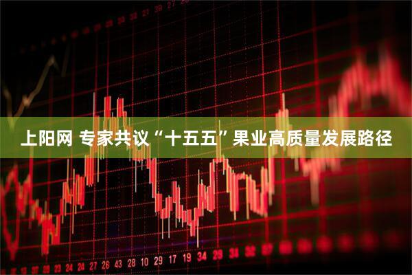 上阳网 专家共议“十五五”果业高质量发展路径
