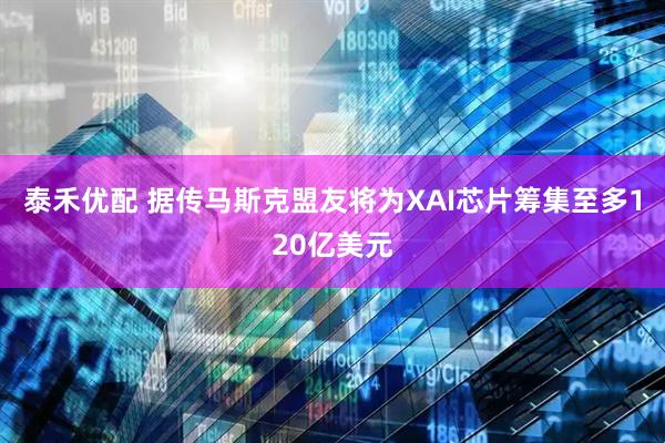 泰禾优配 据传马斯克盟友将为XAI芯片筹集至多120亿美元