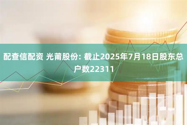 配查信配资 光莆股份: 截止2025年7月18日股东总户数22311